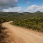 Travel Advisory: Addo Elephant National Park Grapples with Road Closures Due to Heavy Rains