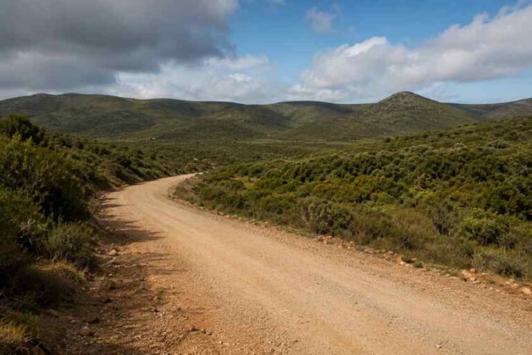 Dirt gravel road winding through a scrubby arid landscape with hills in the distance and a partly cloudy sky.