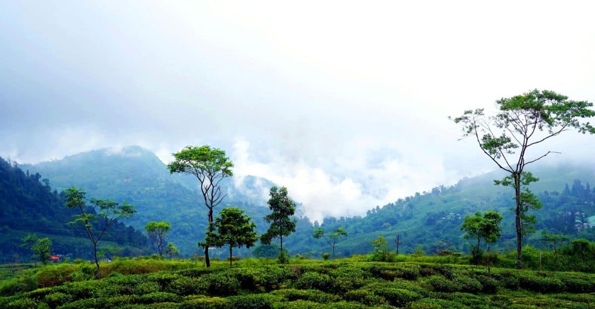 Agoda Unveils Top Summer Hill Stations and Retreats in India for a Sustainable Getaway