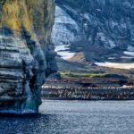 Navigating Antarctic Adventure Tourism: A Growing Concern Amid Hantavirus Outbreak