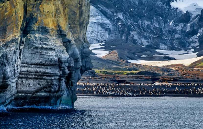 Navigating Antarctic Adventure Tourism: A Growing Concern Amid Hantavirus Outbreak
