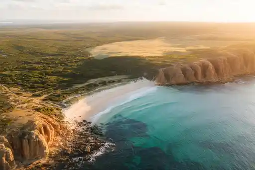 Discover the Untouched Wildlife Haven of Kangaroo Island: An Eco-Tourist’s Dream