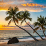 Barbados and Guyana Embrace Digital ID Cards for Seamless Travel and Enhanced Services