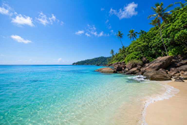 Tropical beach with clear turquoise water, white sand, and a rocky shoreline lined with palm trees under a bright blue sky.