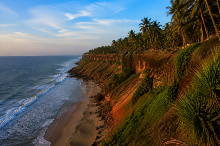 Cliffside coastline with tall palm trees, green vegetation, and a sandy beach below the blue ocean.
