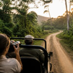 Discover Affordable Wildlife Adventures in Thailand and Beyond