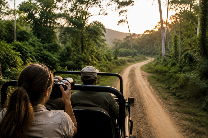 Discover Affordable Wildlife Adventures in Thailand and Beyond