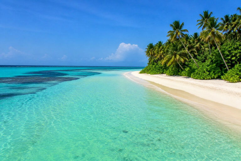 Turquoise sea lapping a white-sand beach lined with palm trees under a clear blue sky.