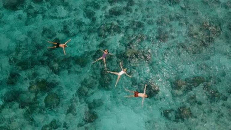 Aerial view of four people swimming in clear turquoise water over a rocky coral reef beneath them.