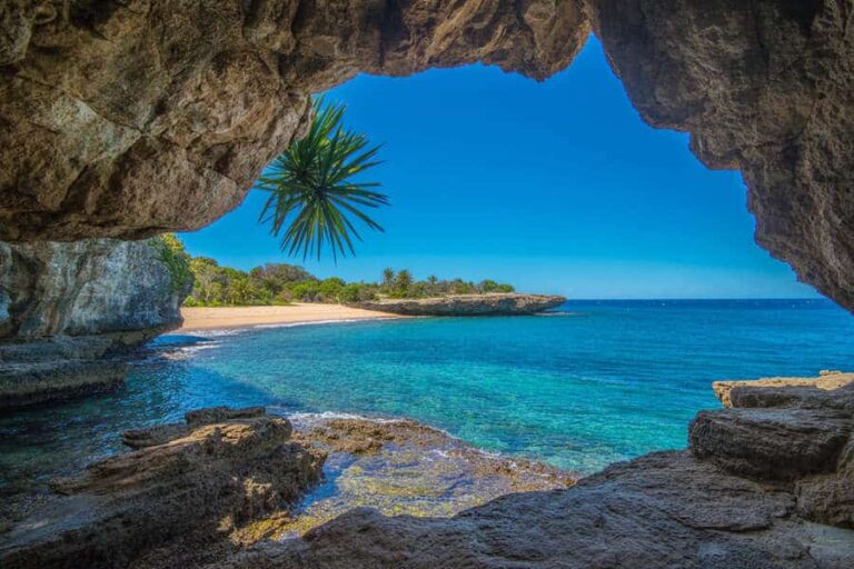 Sunlit cove framed by a rocky cave opening, with turquoise water, a sandy beach, and a lone palm tree in the foreground.
