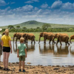South Africa Joins the Ranks of Africa’s Leading Destinations for Chinese Travelers