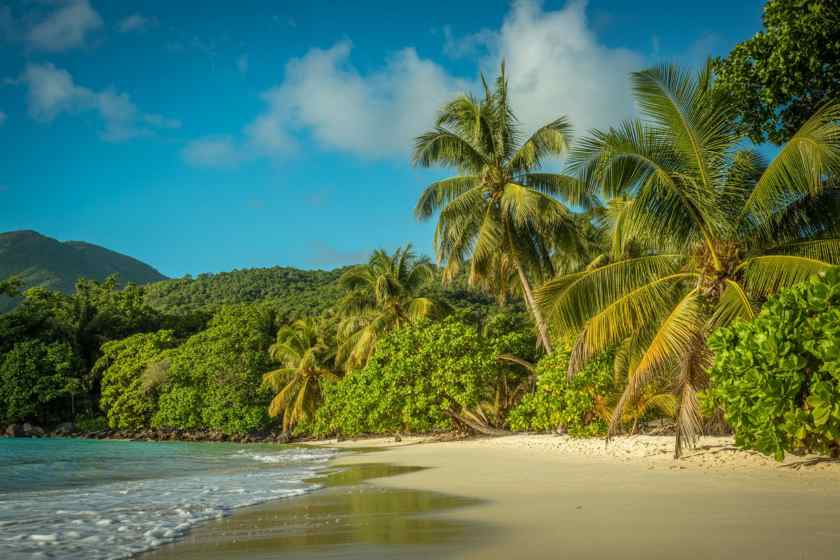 Exciting New Flights Connect Rome and the Dominican Republic with ITA Airways