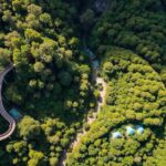 Dorrigo Rainforest Centre and Escarpment Great Walk Receive $56.4 Million Upgrade for Tourism and Job Growth