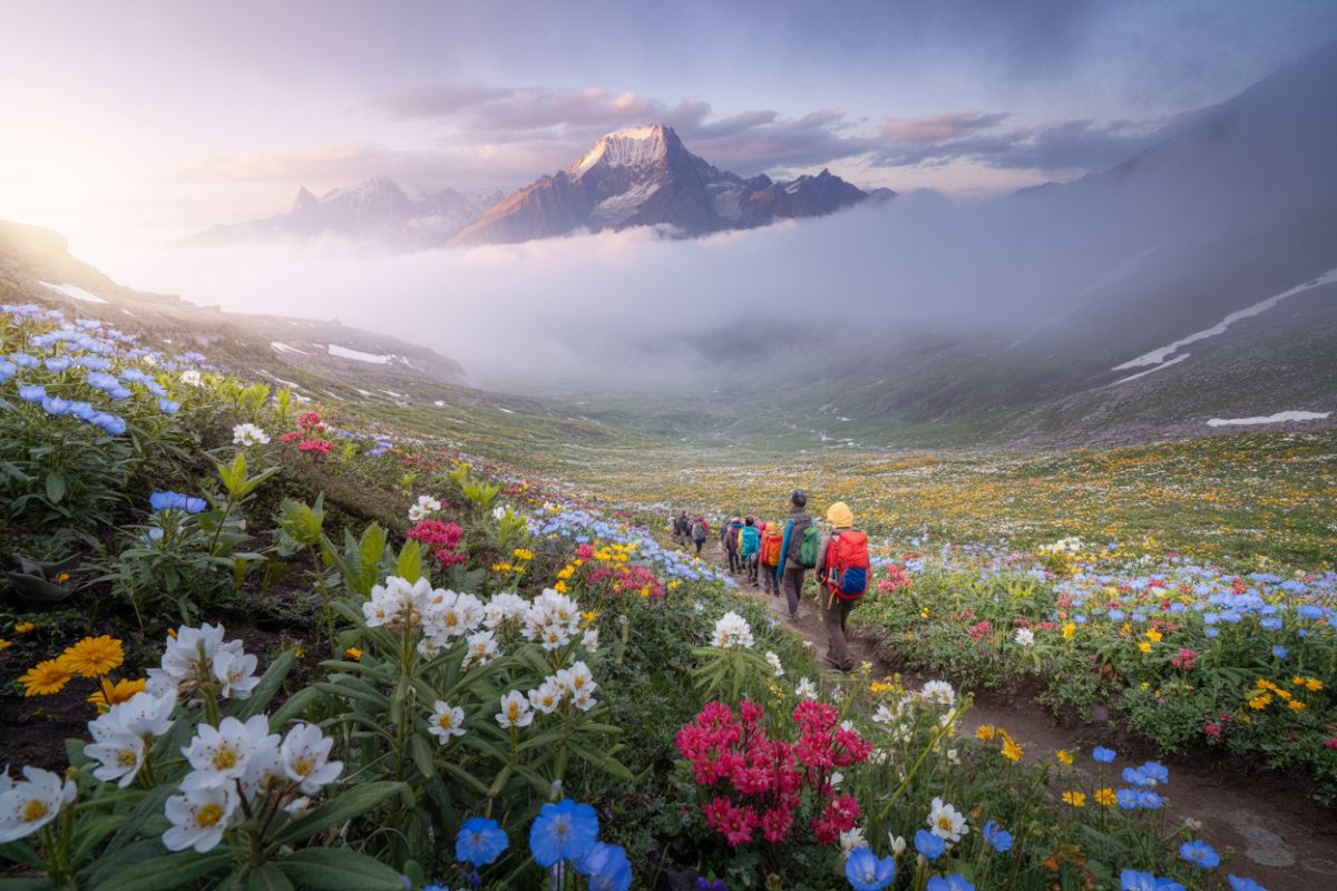 Explore the Valley of Flowers: Uttarakhand’s Monsoon Gem for Nature Lovers and Adventure Seekers