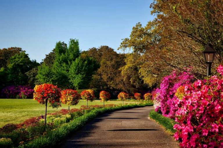 Sunlit garden path lined with vibrant pink, orange, and red flowering shrubs and green trees on a sunny day.