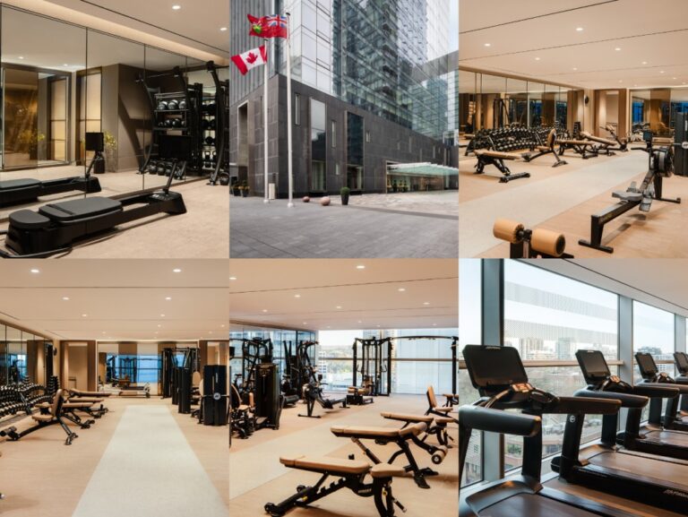 Collage of a modern fitness club: exterior with flagpoles and glass facade, plus multiple bright indoor gym areas with treadmills, benches, and weight machines.