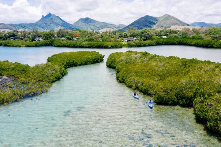 Four Seasons Resort Mauritius Unveils Innovative Honeybee Conservation Initiative to Elevate Eco-Tourism