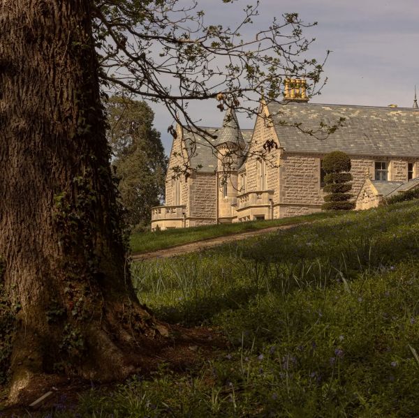 Introducing Tim Husbands MBE: The New Chief Executive of Gilford Castle Estate