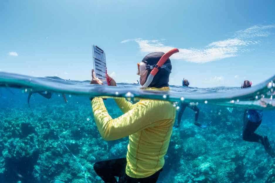 Australia Empowers Tourism Professionals to Safeguard the Great Barrier Reef and Enhance Marine Conservation