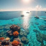 Australia Invests $91.8 Million for Great Barrier Reef Protection Amid Tourism Boom