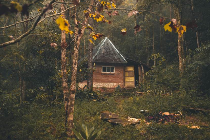 India Launches 500 Tribal Forest Homestays to Enhance Sustainable Tourism