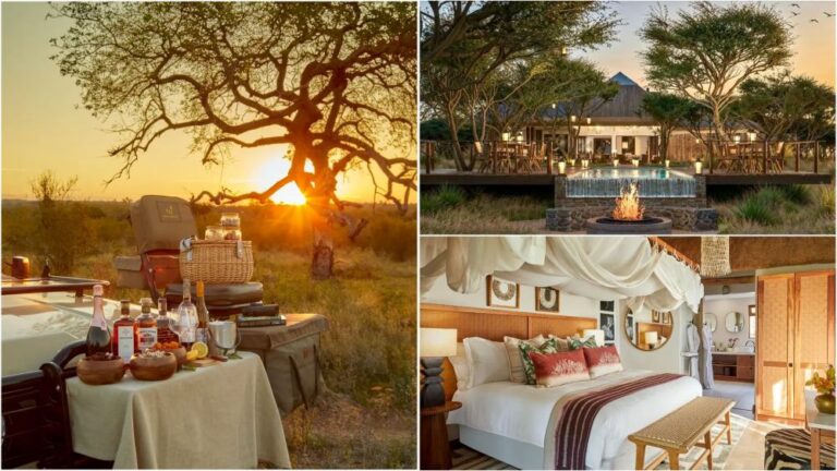 Three-scene collage: sunset safari picnic beside a vehicle with drinks and snacks, a resort terrace with a fire pit, and a canopy-bed hotel room.