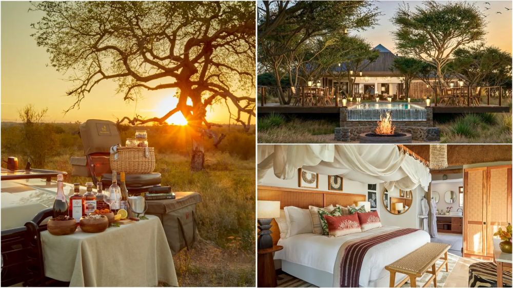 Discover Luxury at Taj Bush Lodge in Greater Kruger, South Africa: An Eco-Tourism Paradise