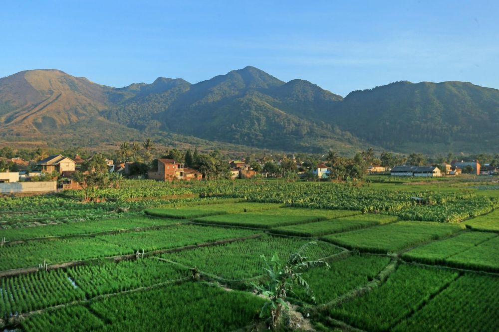 Indonesian Travelers Embrace Local Getaways This Labor Day 2026: Puncak, Yogyakarta, and Bandung Shine