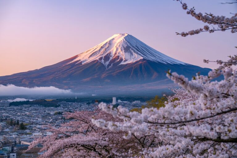 Snow-capped Mount Fuji at sunrise seen over a city, framed by blooming cherry blossoms in the foreground