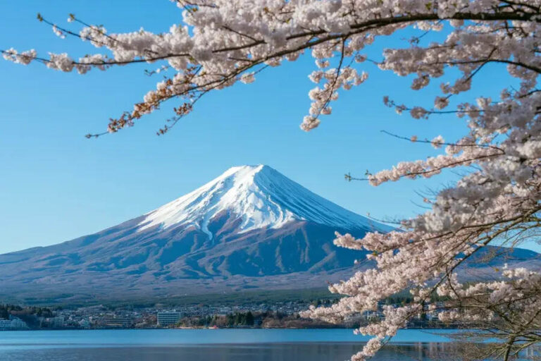 Snow-capped Mount Fuji rising over a lake with pink cherry blossoms framing the scene.