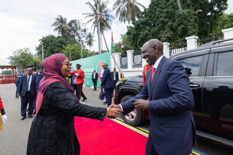 Two dignitaries greet each other with a handshake on a red carpet outside a government event, Tanzania flags in the background.