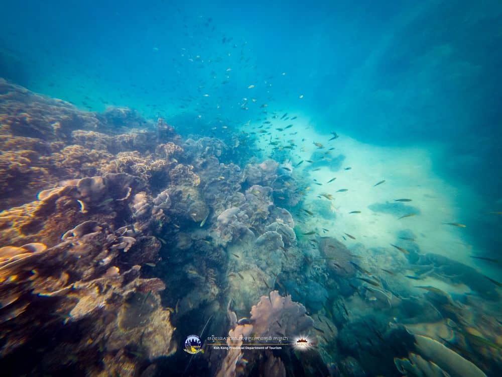 Discover Sustainable Tourism on Koh Samit: A Coral Reef Paradise in Cambodia’s Green Season