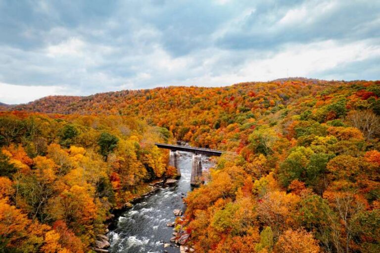 Autumn forest in vivid orange and yellow surrounds a river with a small waterfall and a bridge crossing it, under a cloudy sky.