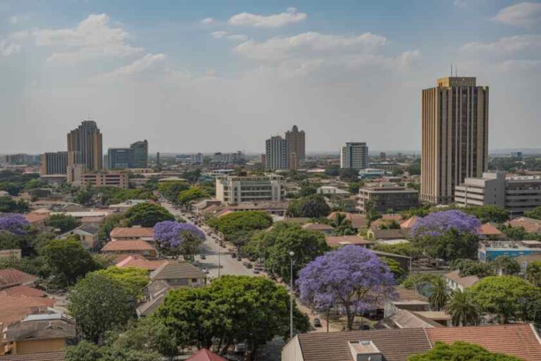 Aerial view of a city with tall buildings, tree-lined streets, and purple jacaranda trees in bloom.