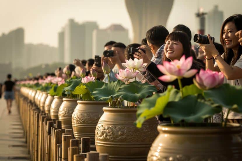 Explore Macao’s Spectacular Lotus Flower Festival: A Must-Visit for Summer Travelers!