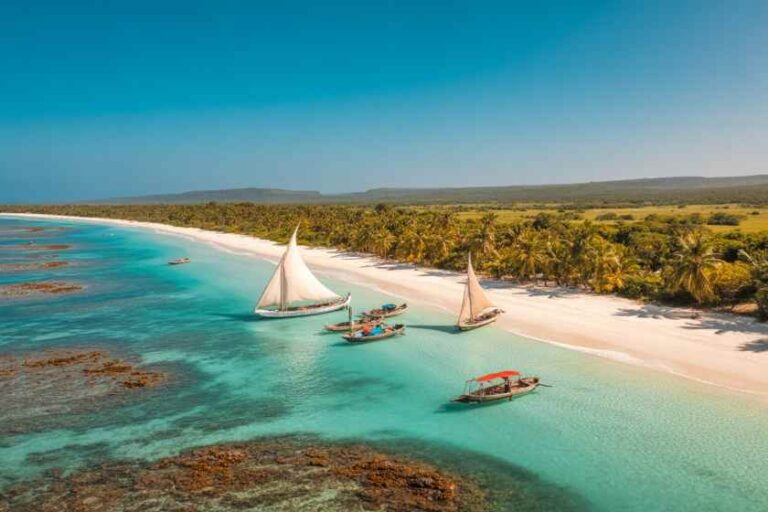 Turquoise sea along a white-sand beach lined with palm trees; several sailboats float near the shore.