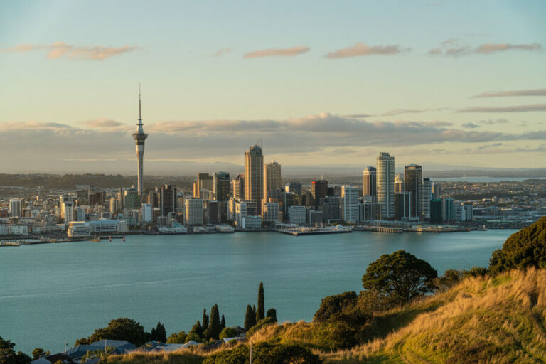 Auckland, New Zealand skyline across the harbor with the Sky Tower and high-rise buildings, seen from a grassy hillside at sunset.
