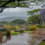 Cape Region Tourism Faces Challenges as Storms Hit National Parks