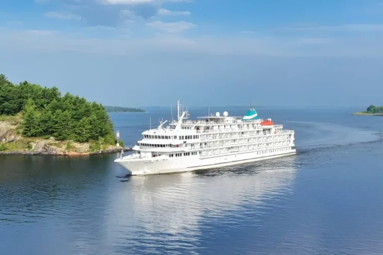 White cruise ship sailing through calm blue water near a tree-covered rocky island under a clear sky