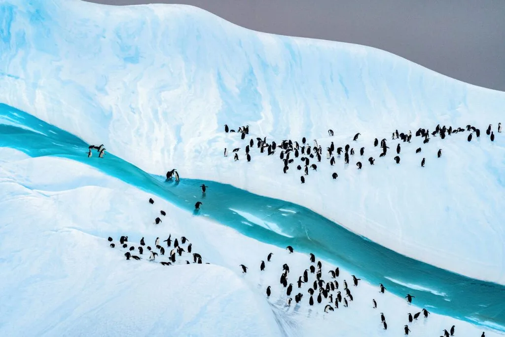 Ponant and Woods Hole Oceanographic Institution Unite for Sustainable Polar Exploration