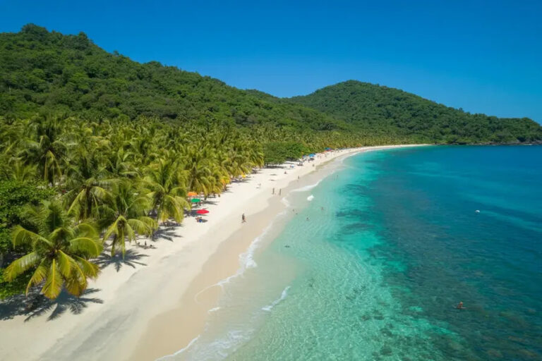 A tropical beach with white sand, palm trees, and turquoise sea along a forested coastline.