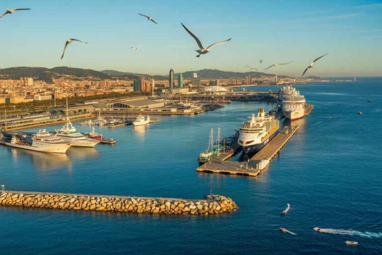 Harbor with several docked ships and a city skyline in the background, seagulls flying over the water.