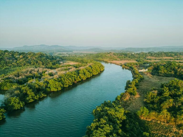 Aerial view of a winding river bordered by dense green trees, with open fields and distant hills on the horizon.