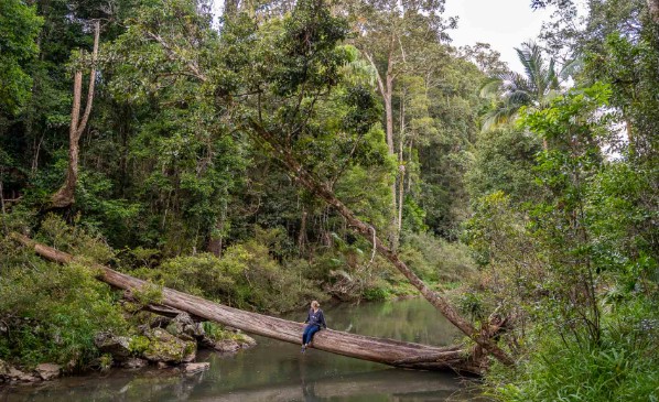 Queensland’s Ecotourism Expansion: A Vision for Broken River in Eungella National Park