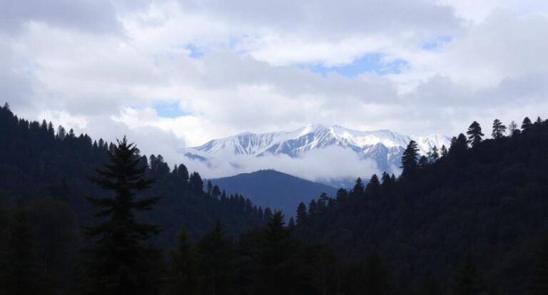 Snow-capped mountain range behind dark, forested hills under a cloudy sky.