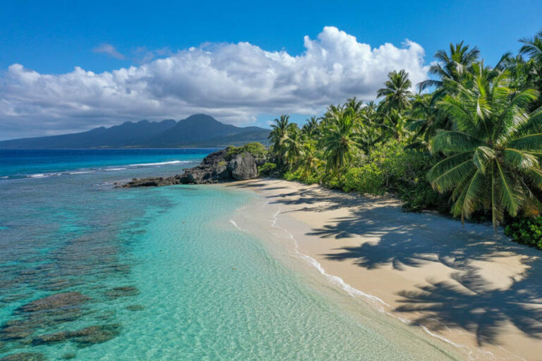 Tropical beach with clear turquoise water, white sand, and palm-lined shore under a blue sky.