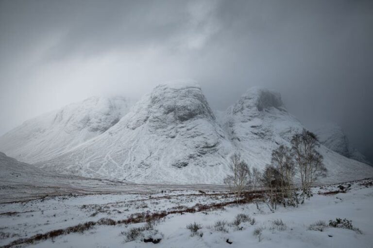 Snow-covered mountain range under a stormy sky with bare trees in the foreground.