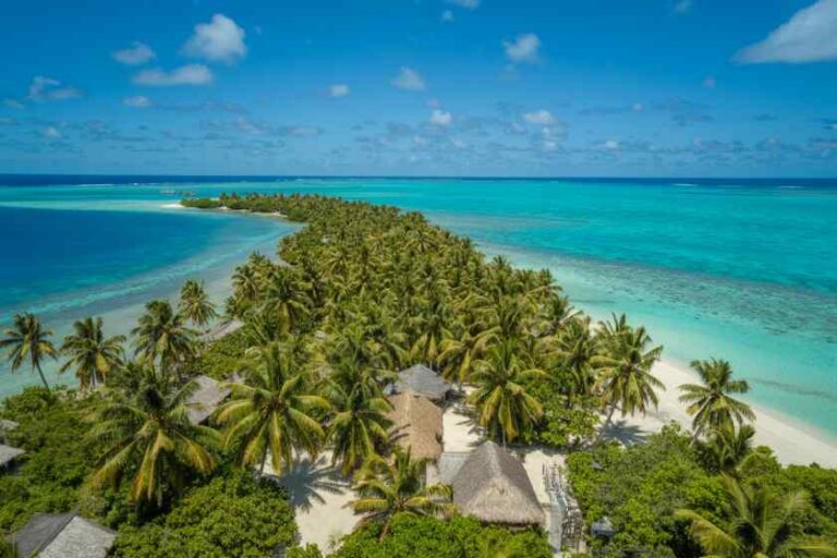 A tropical island with palm trees, white sand, and turquoise water stretching to the horizon under a blue sky.