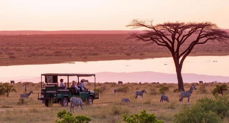Safari jeep with passengers watching zebras on the savannah at sunset near a lone acacia tree.