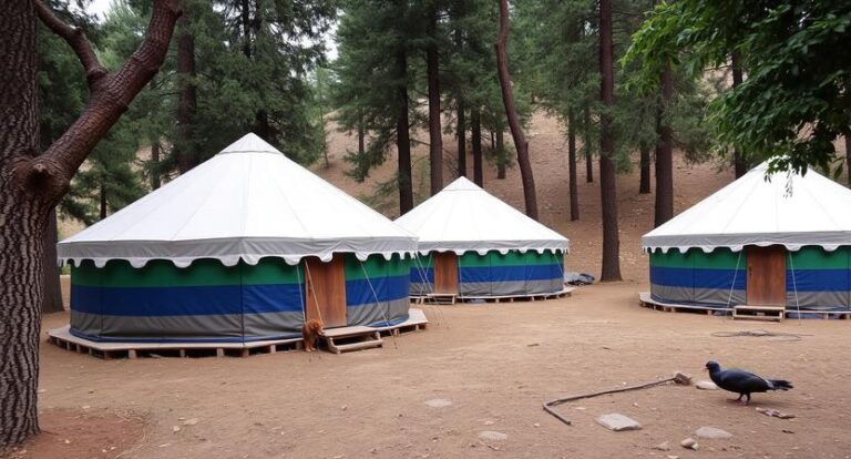 Three white tents with blue-green bands sit on wooden platforms in a pine forest; a dog stands at the first tent entrance and a black pigeon is nearby.